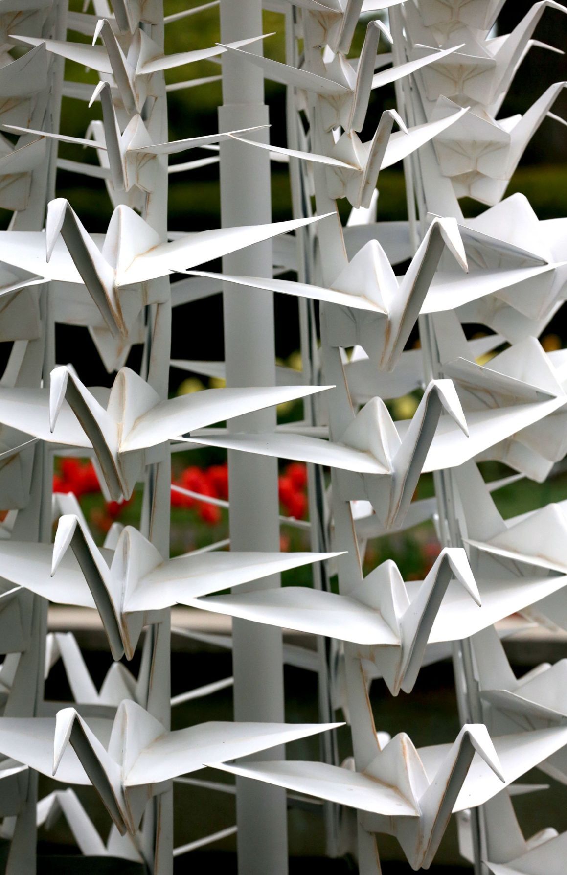 Scenes from Origami in the Garden